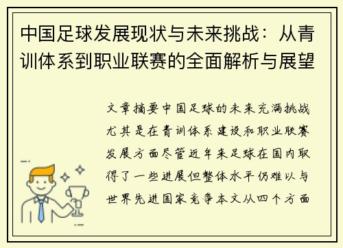 中国足球发展现状与未来挑战：从青训体系到职业联赛的全面解析与展望